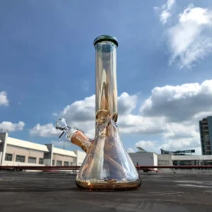 beaker bongs